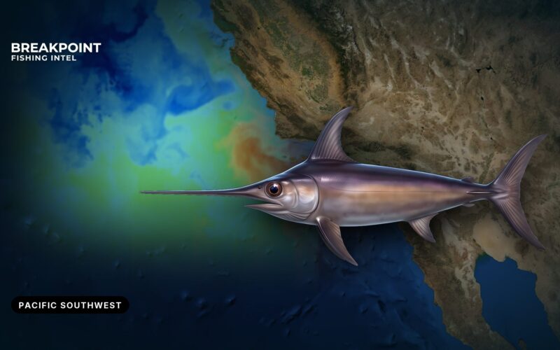 Swordfish Fishing in the Pacific Southwest: Water and Rules