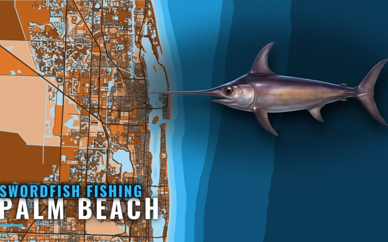 Swordfish Fishing Out of Palm Beach: Run, Depth, Methods
