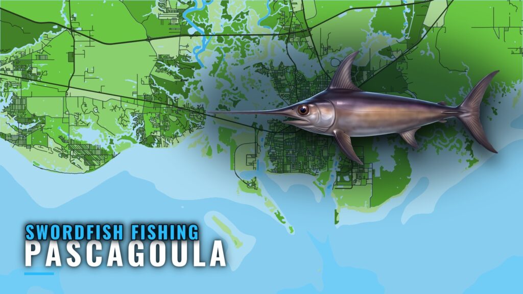 Swordfish Fishing Out of Pascagoula: The Run and Structure