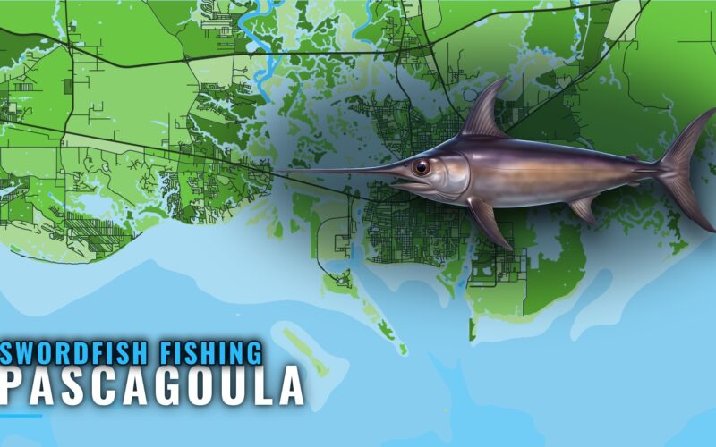 Swordfish Fishing Out of Pascagoula: The Run and Structure