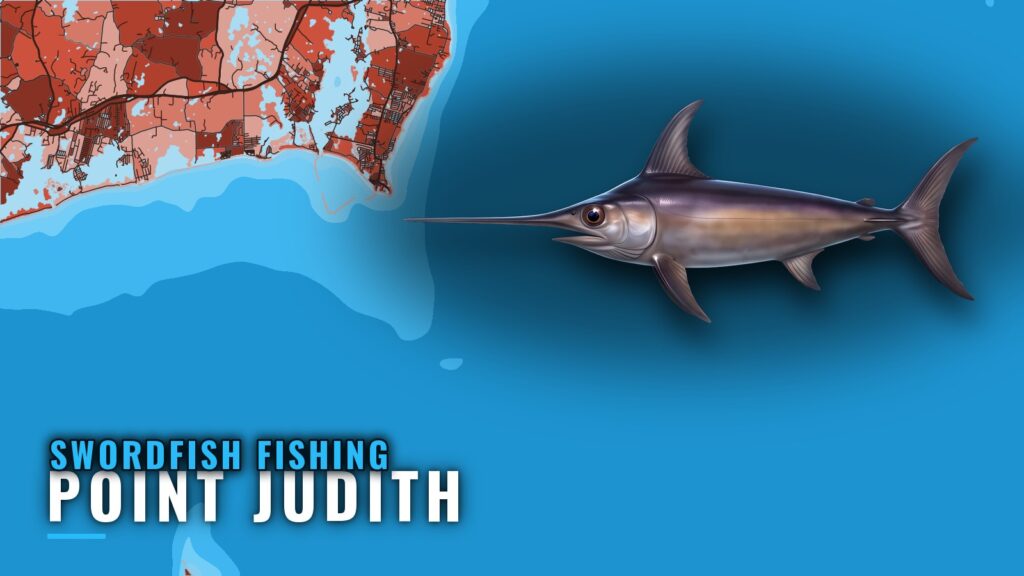 Swordfish Fishing Out of Point Judith: Season and Grounds
