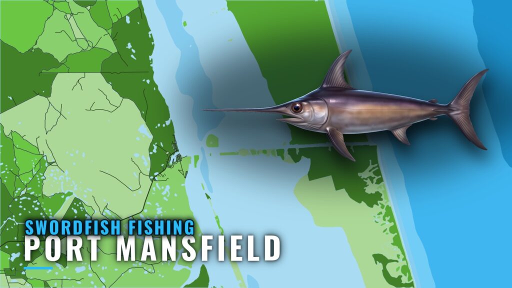 Swordfish Fishing out of Port Mansfield: Runs and Charters