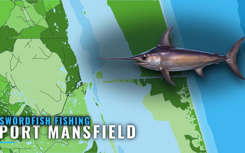Swordfish Fishing out of Port Mansfield: Runs and Charters