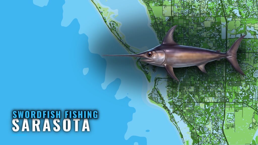 Swordfish Fishing Out of Sarasota: Run, Depth and Numbers