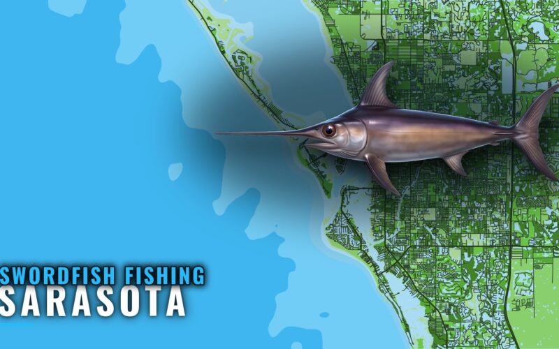 Swordfish Fishing Out of Sarasota: Run, Depth and Numbers