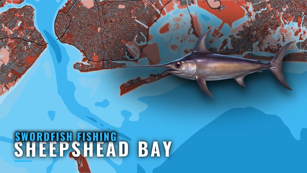 Swordfish Fishing Out of Sheepshead Bay: Canyon Run Guide