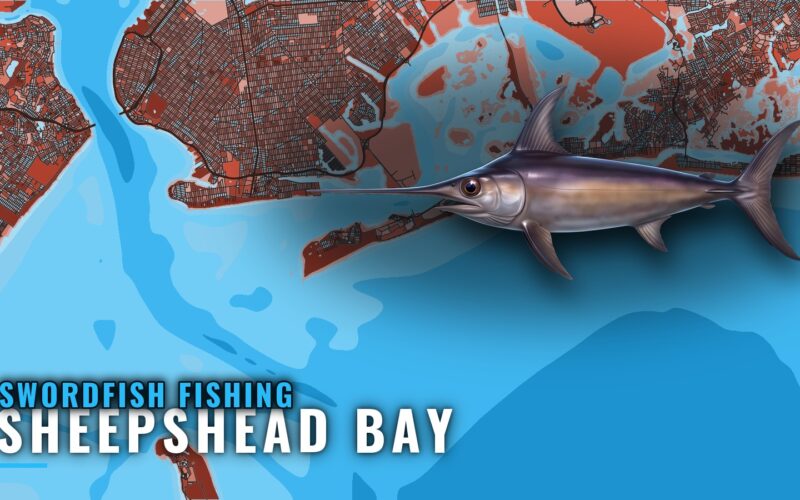 Swordfish Fishing Out of Sheepshead Bay: Canyon Run Guide