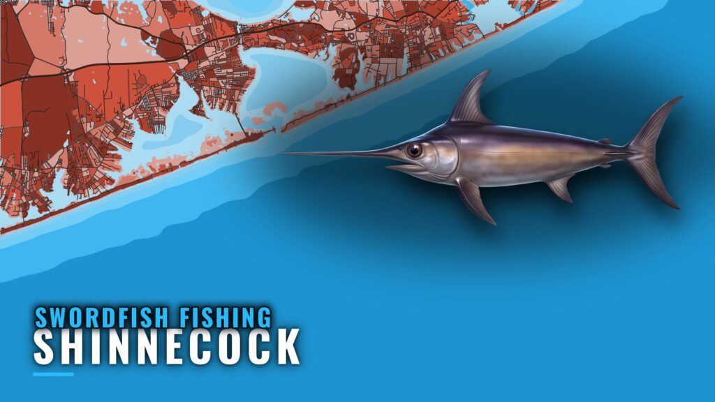 Swordfish Fishing Out of Shinnecock: Season, Grounds, Boats
