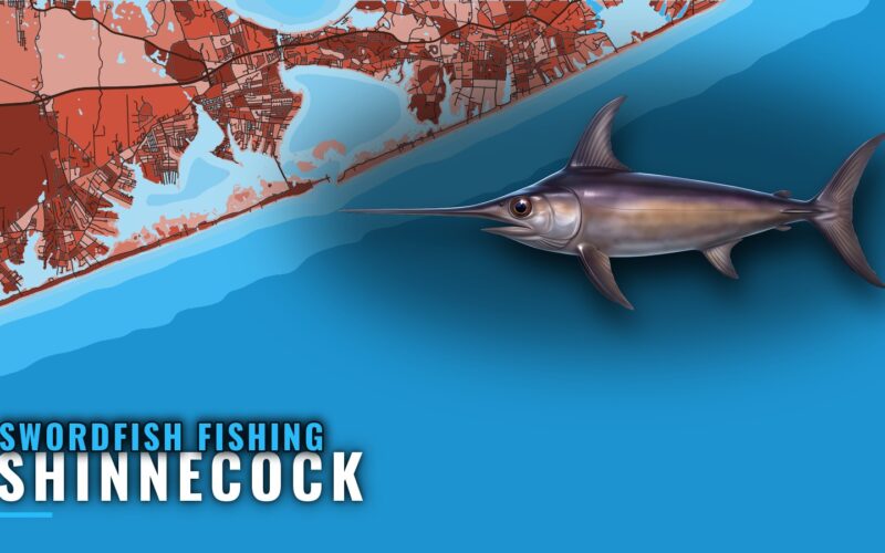 Swordfish Fishing Out of Shinnecock: Season, Grounds, Boats