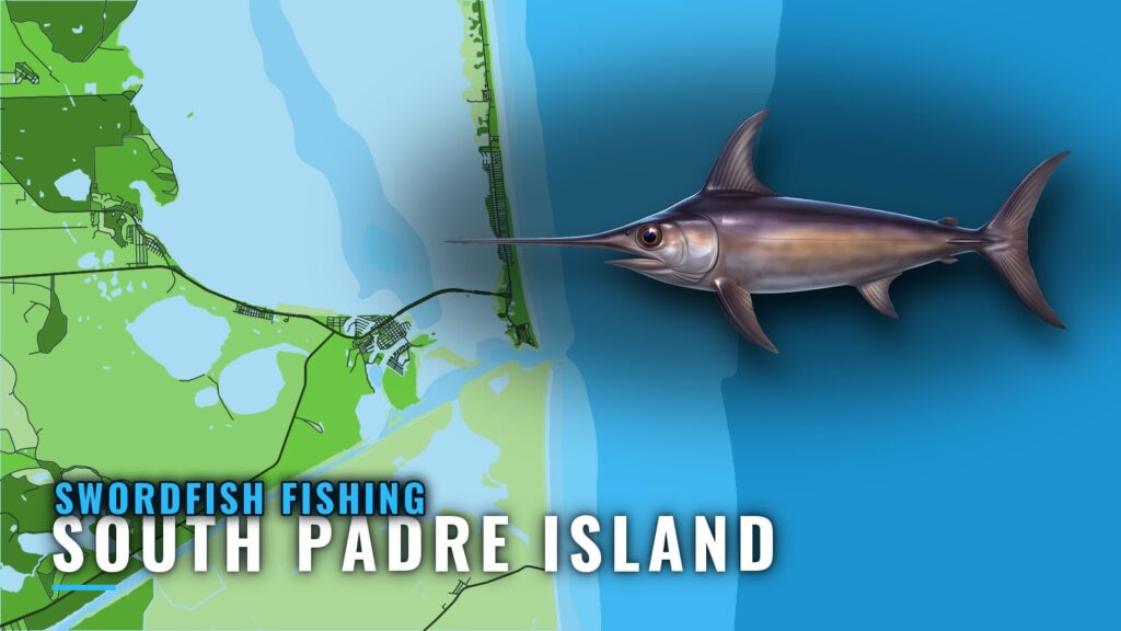 Swordfish Fishing Out of South Padre Island: Where to Run