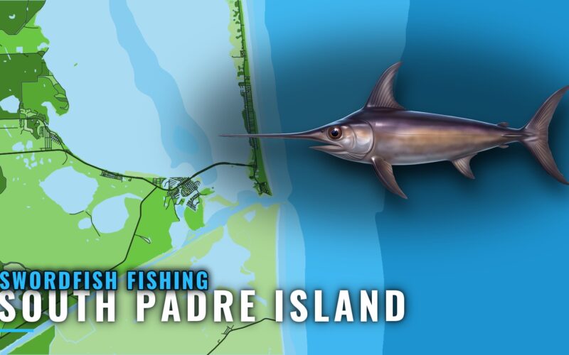 Swordfish Fishing Out of South Padre Island: Where to Run