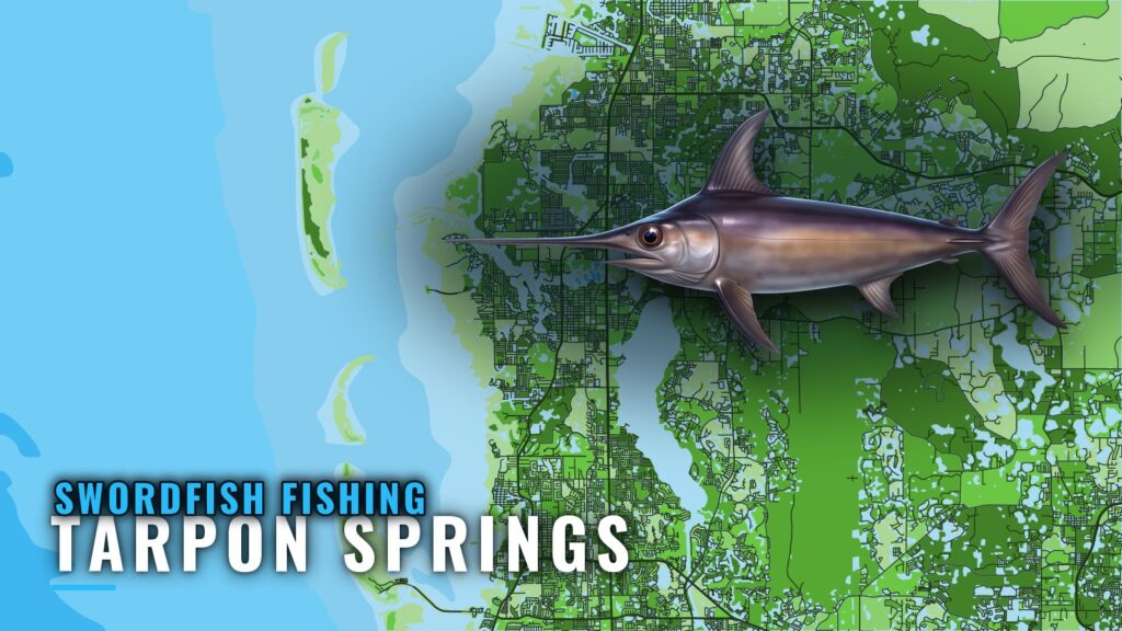 Swordfish Fishing out of Tarpon Springs: The 400 ft Run