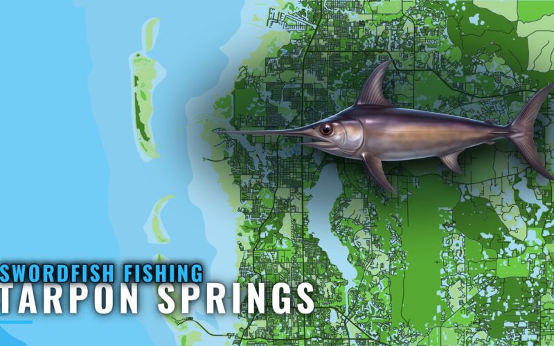 Swordfish Fishing out of Tarpon Springs: The 400 ft Run