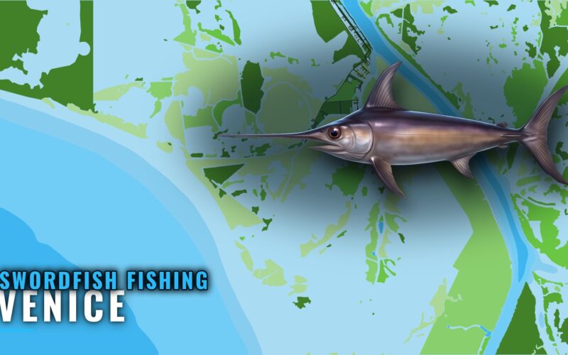 Swordfish Fishing Out of Venice: Grounds, Season, Methods