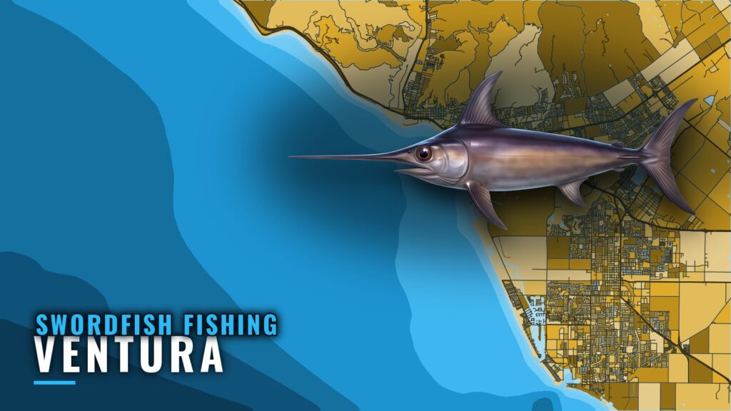 Swordfish Fishing out of Ventura: Grounds, Buoy and Rules