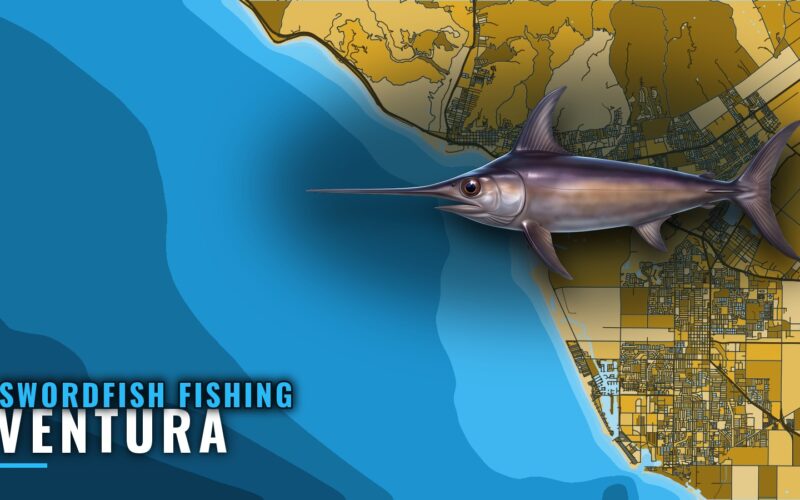 Swordfish Fishing out of Ventura: Grounds, Buoy and Rules