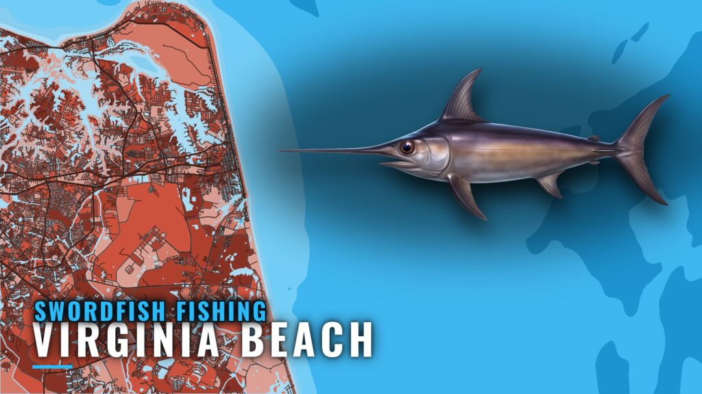 Swordfish Fishing Out of Virginia Beach: Norfolk Canyon
