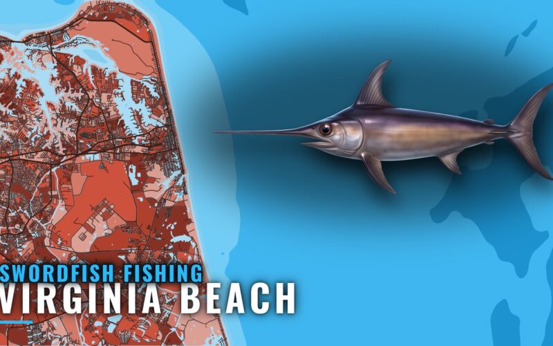 Swordfish Fishing Out of Virginia Beach: Norfolk Canyon