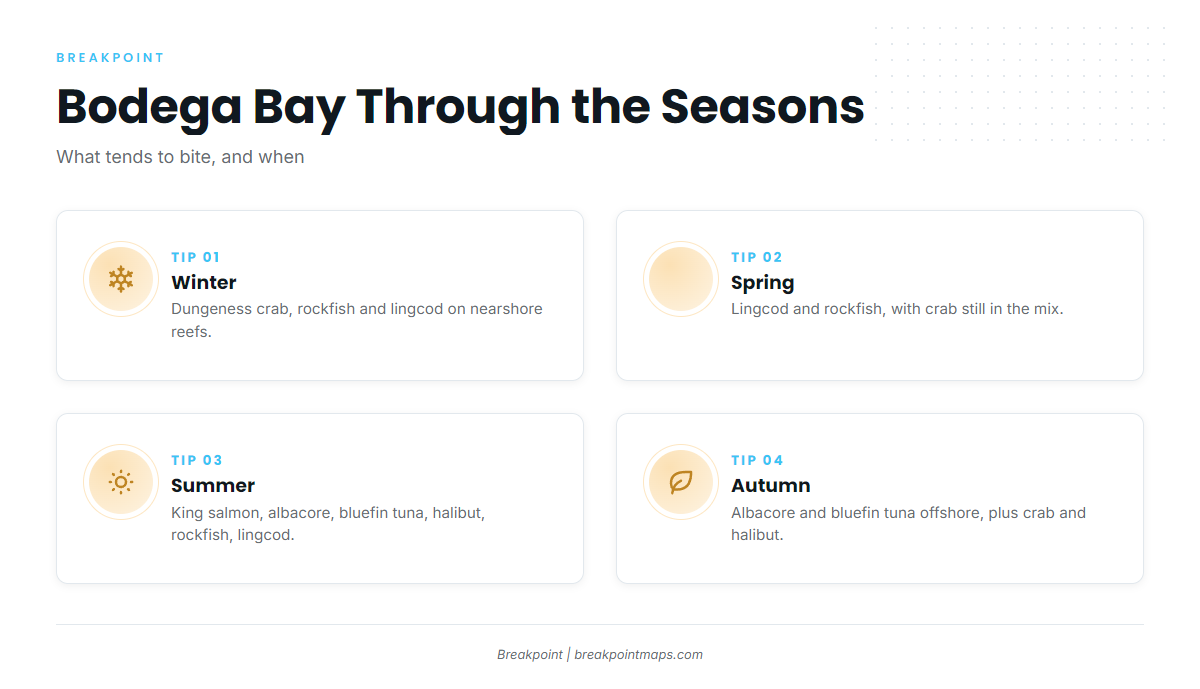 Fishing conditions (Bodega Bay)