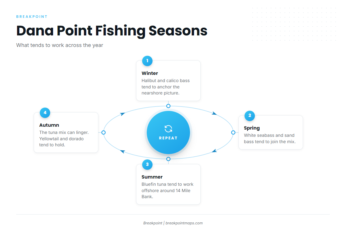 Fishing Conditions (Dana Point)