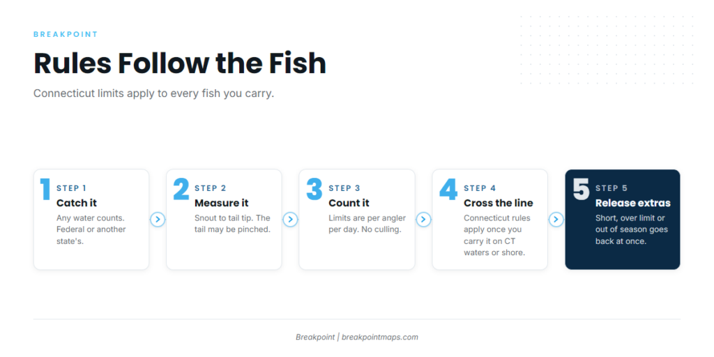 Connecticut Fishing Regulations: Rules by Species