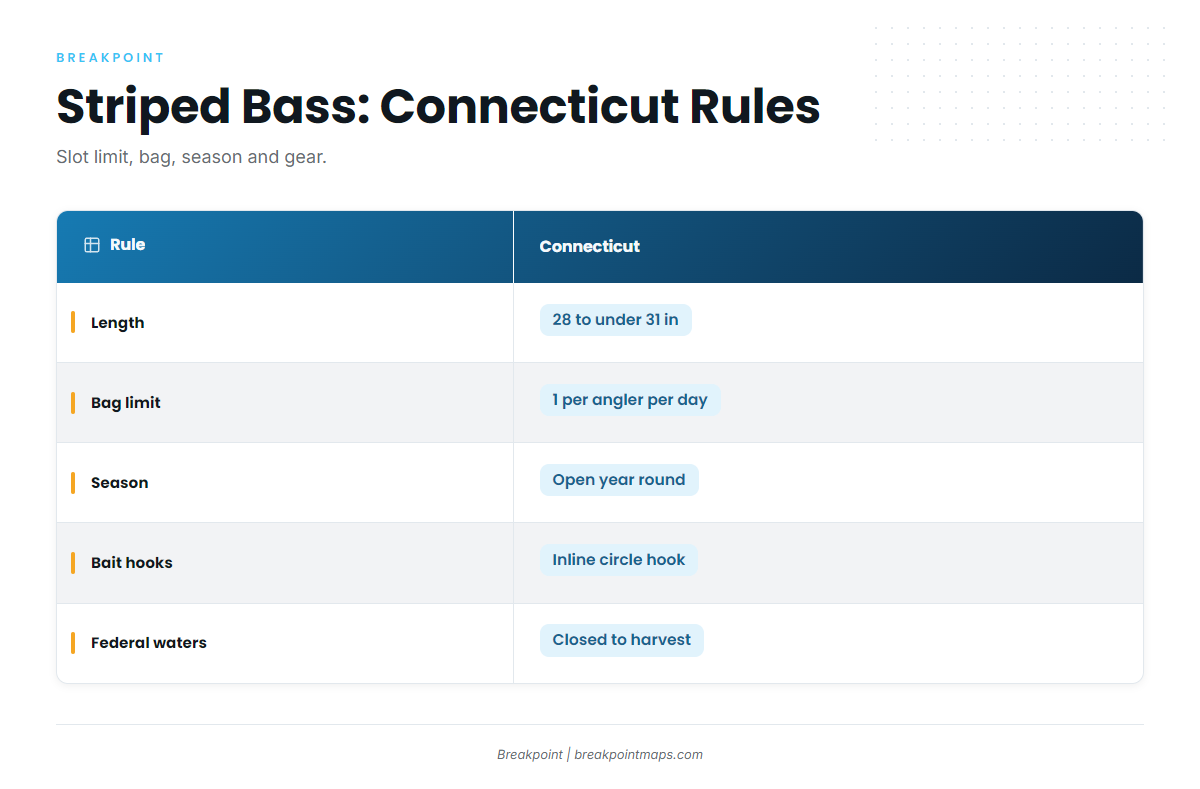Striped bass (Connecticut Fishing Regulations)
