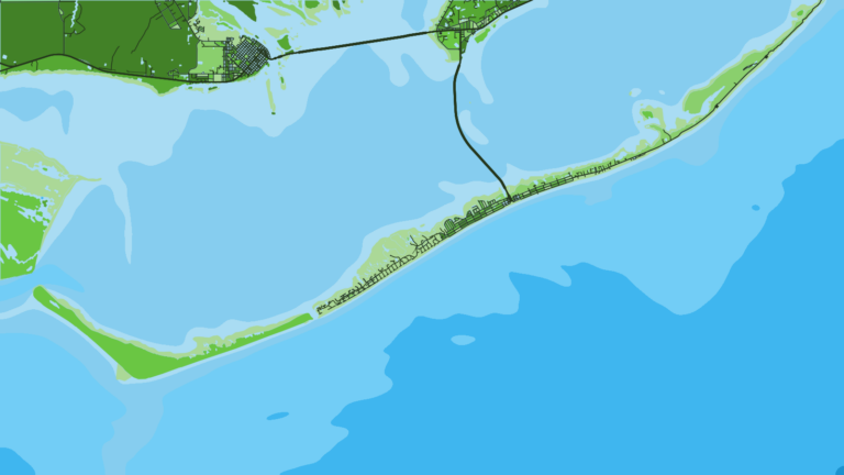 Illustration of Apalachicola, Forgotten Coast grouper and snapper.