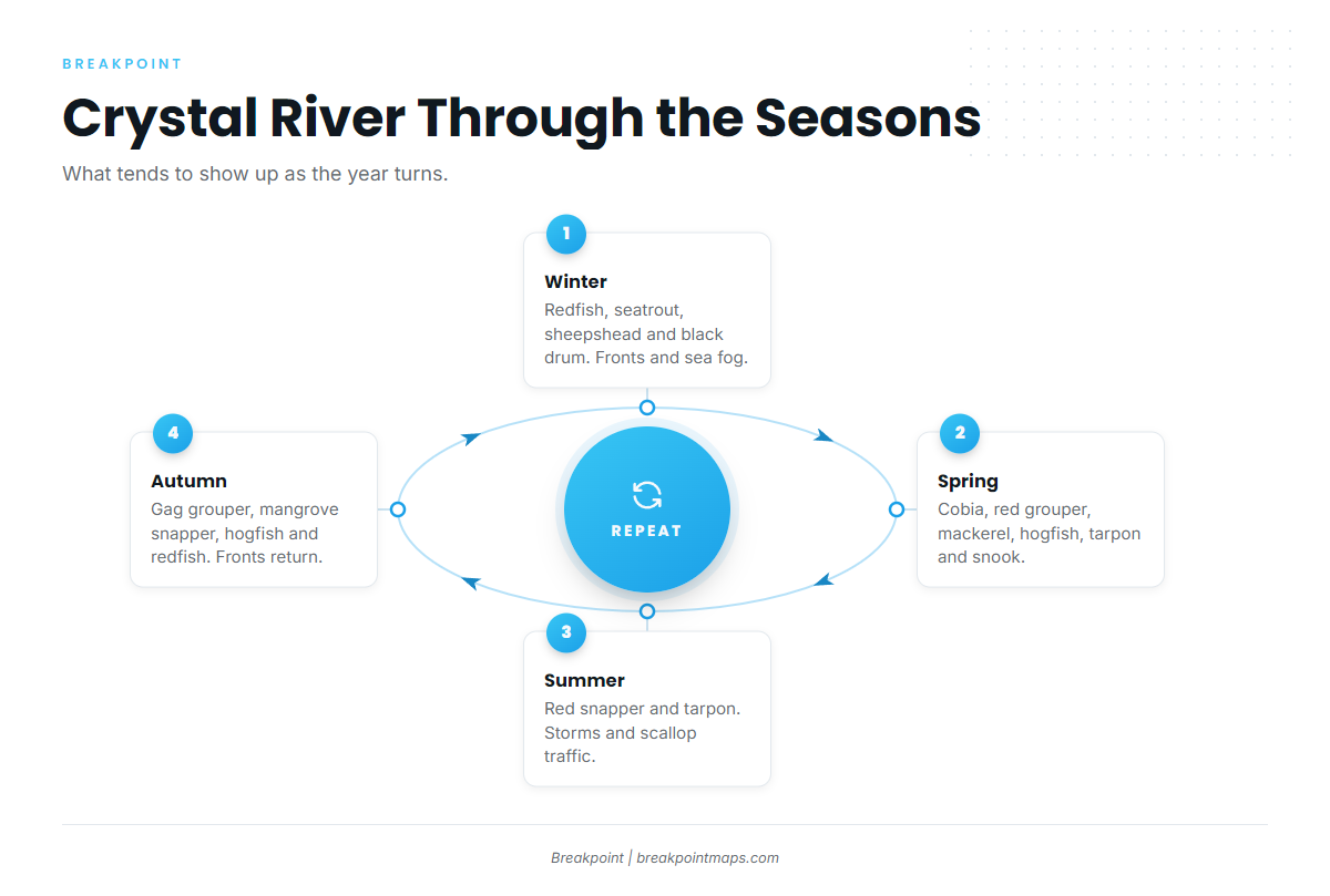 Winter (Crystal River)