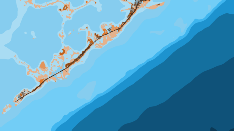Illustration of Islamorada, sailfish and humps.