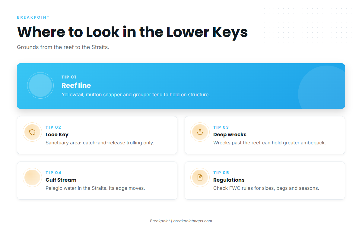 Fishing conditions (Lower Keys)