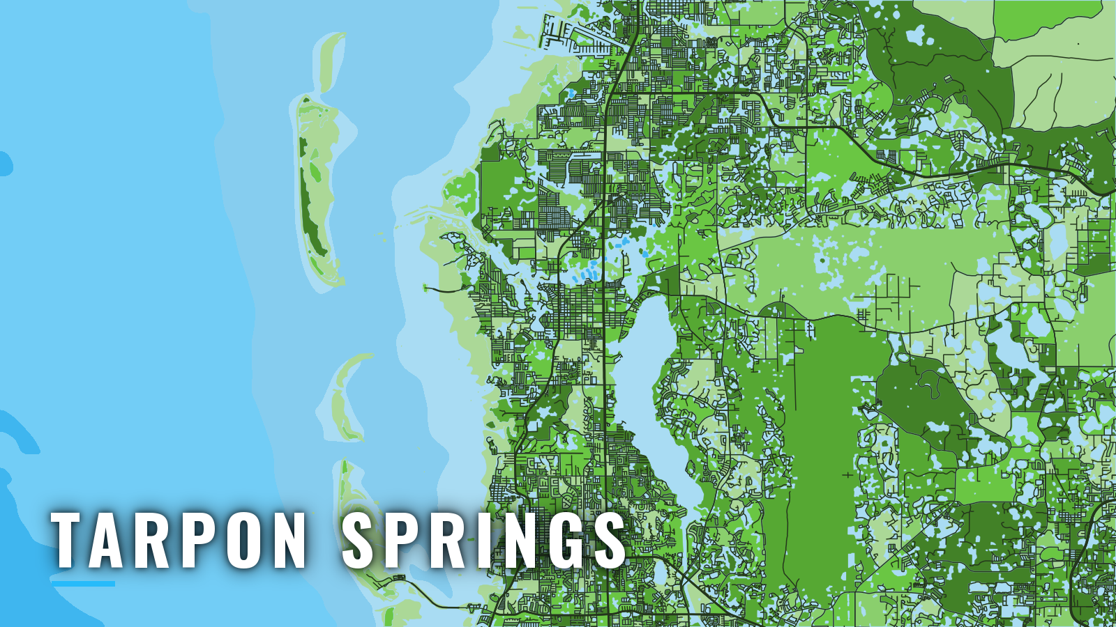Stylized map of Tarpon Springs, Florida, labelled with the port name (not for navigation)