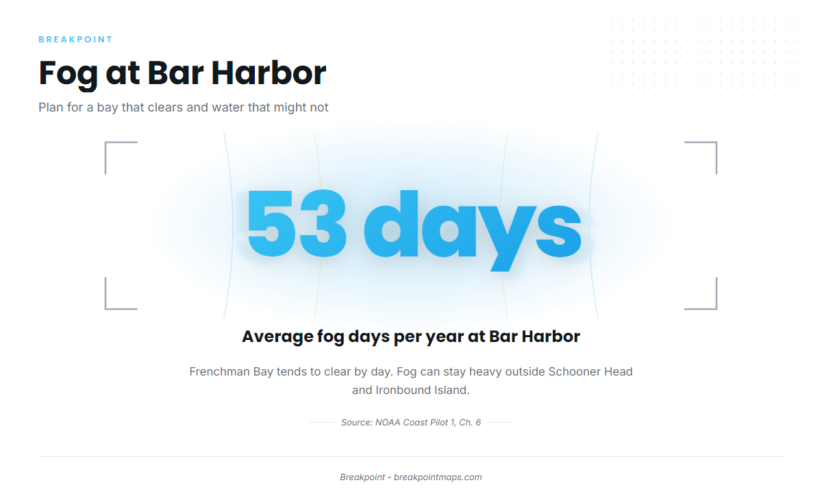 Fog (Bar Harbor / Mount Desert)