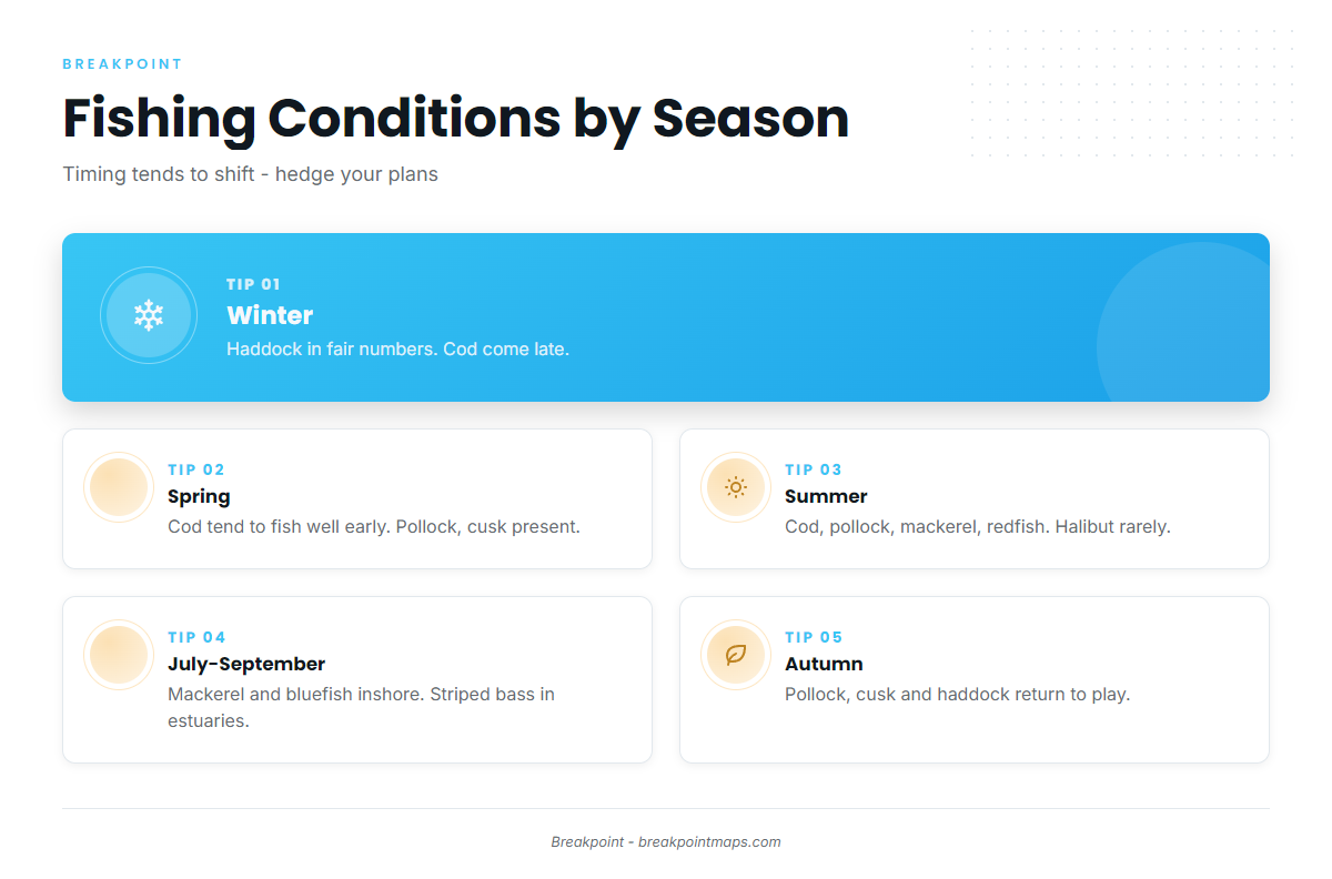 Fishing conditions (Bar Harbor / Mount Desert)