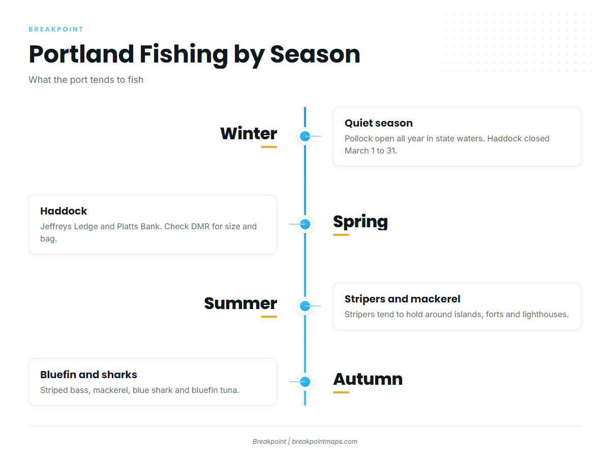 Fishing conditions (Portland / South Portland)