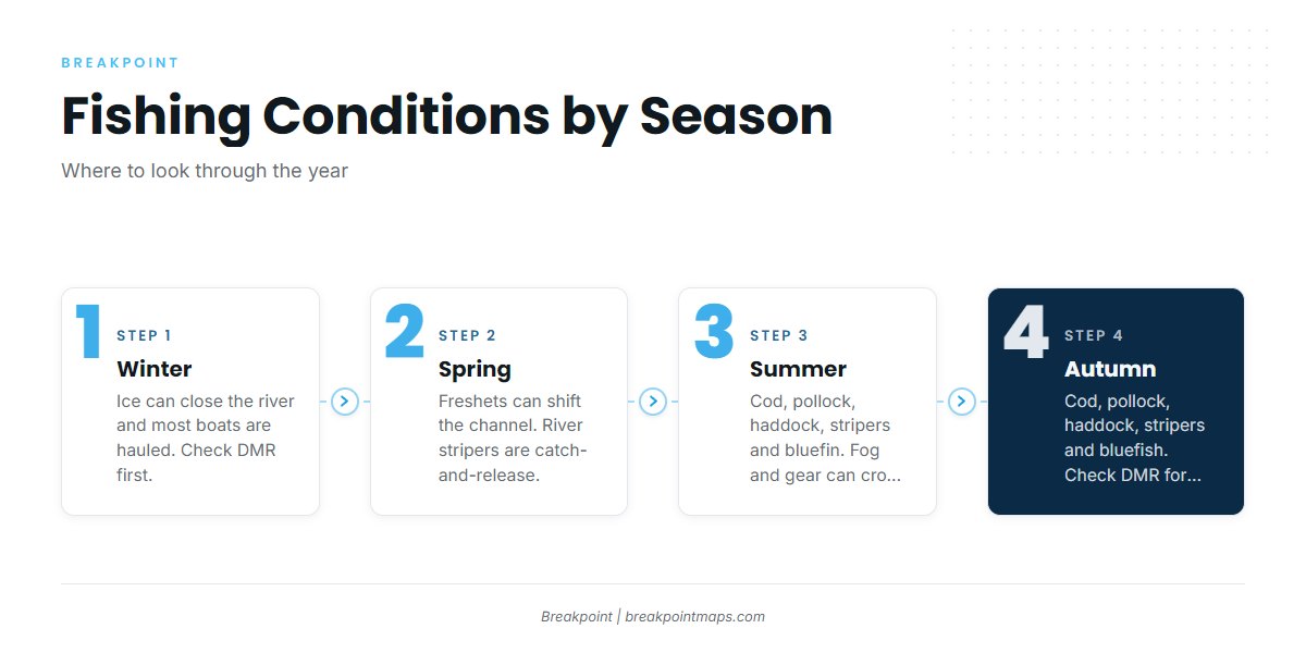 Fishing conditions (Saco / Biddeford)