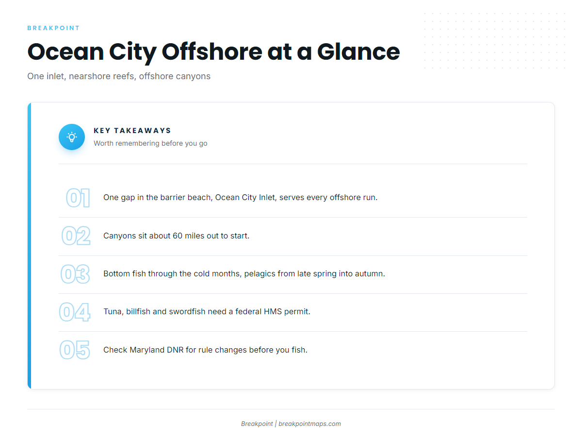 Ocean City at a glance