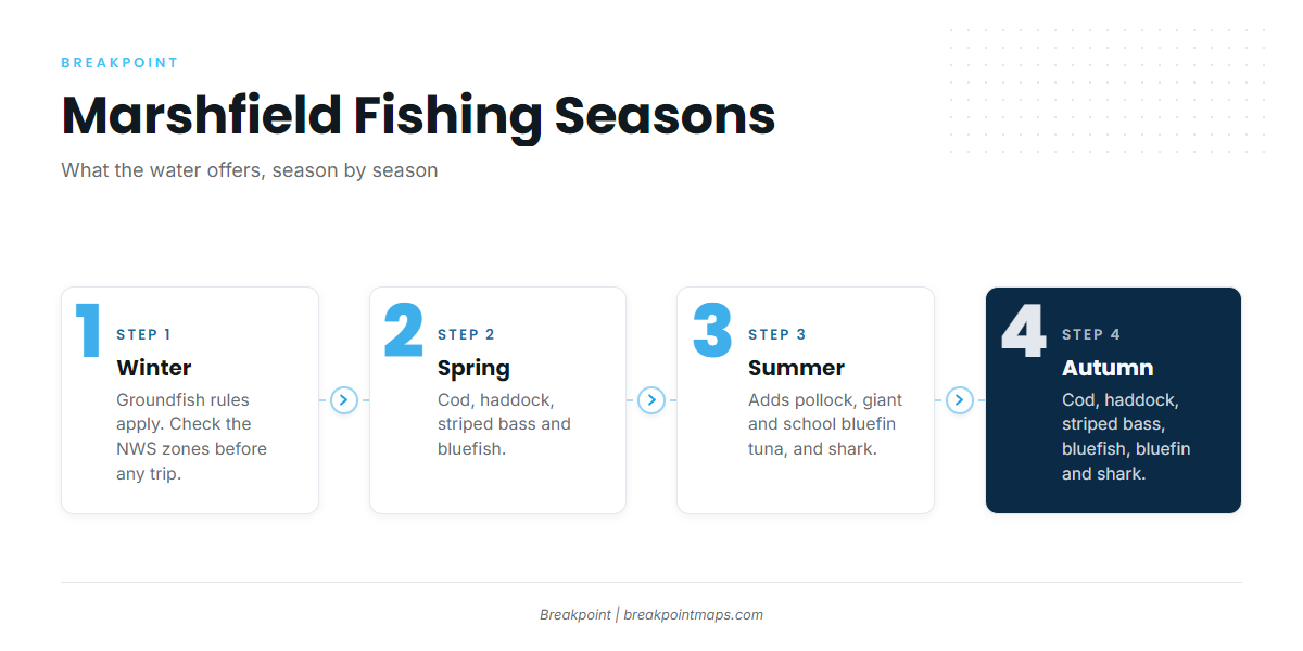 Fishing conditions (Marshfield)