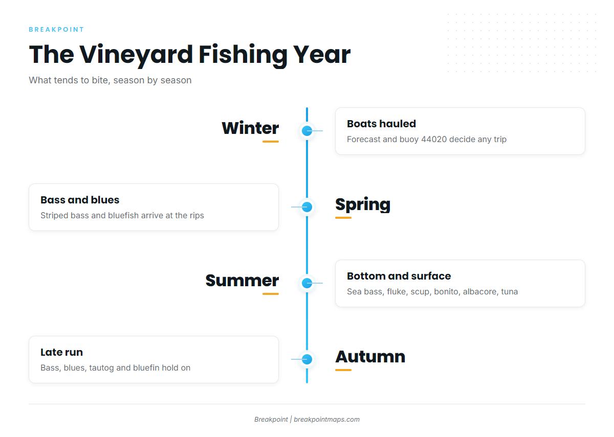 Fishing conditions (Martha's Vineyard)