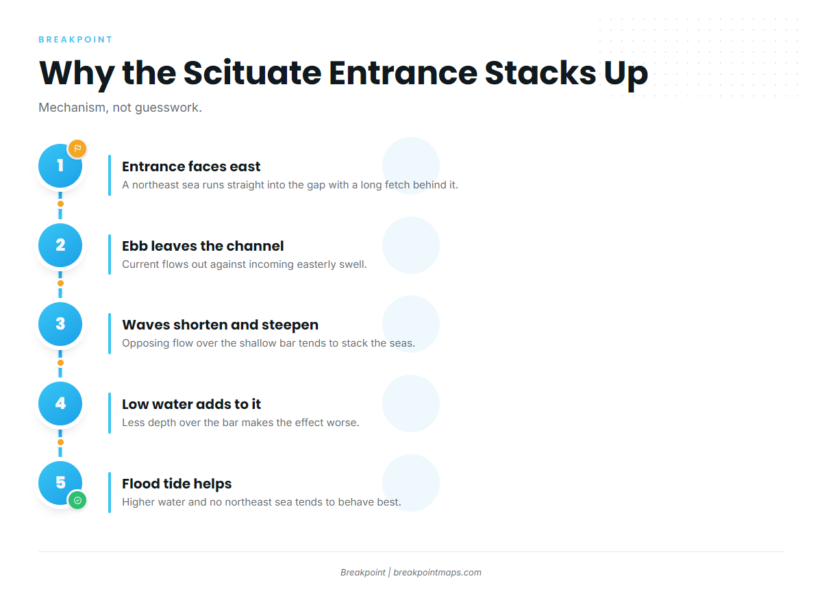 Entrance behavior (Scituate)