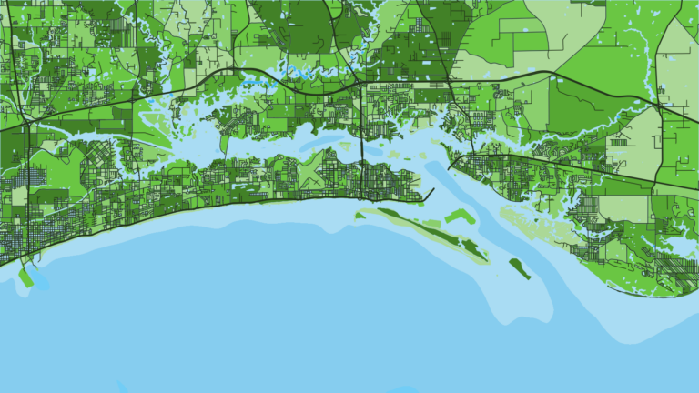 Illustration of Biloxi, Point Cadet Marina, the coast’s charter fleet and the Mississippi Gulf Coast Billfish Classic.