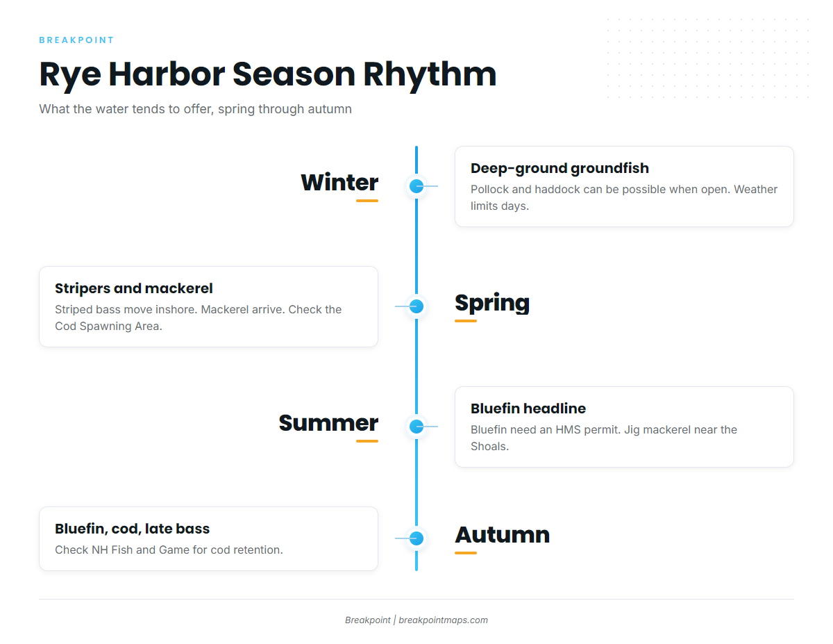 Autumn (Rye Harbor)