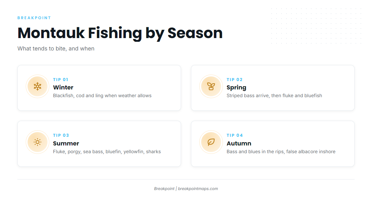 Fishing conditions (Montauk)