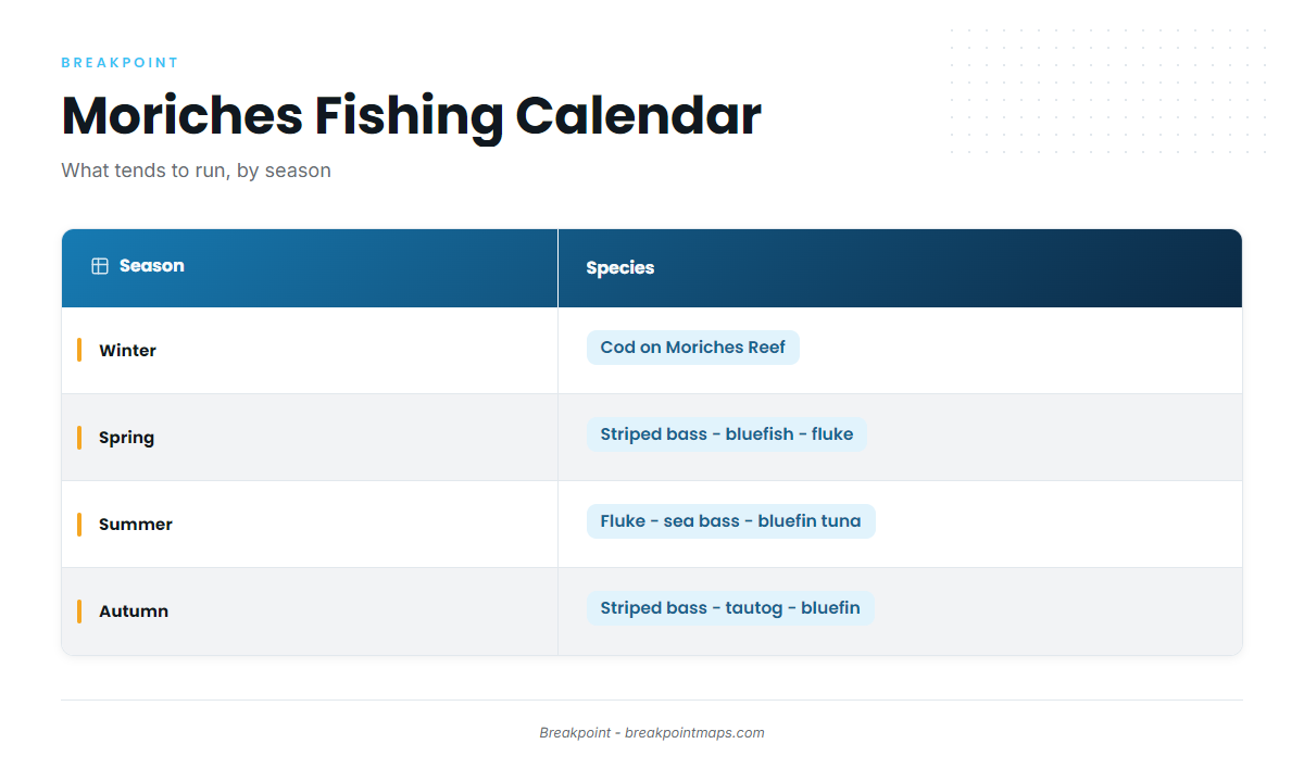 Fishing conditions (Moriches)