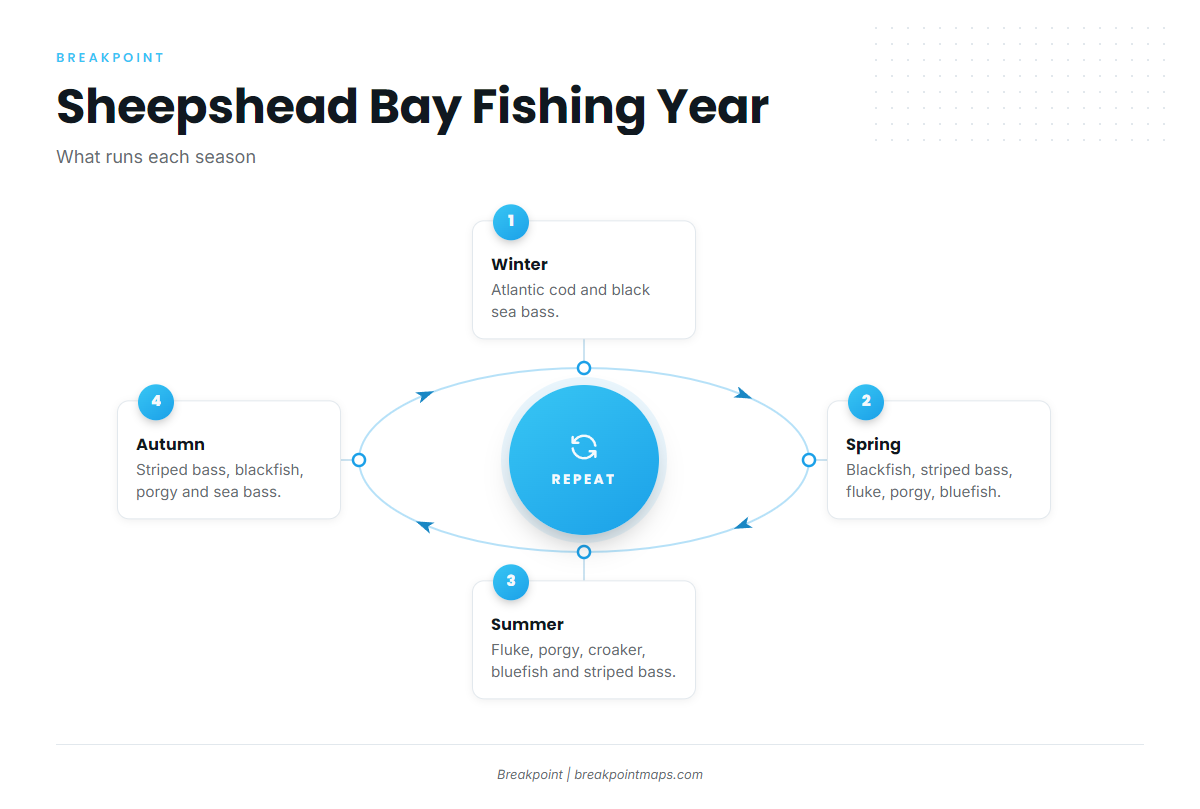 Fishing conditions (Sheepshead Bay)