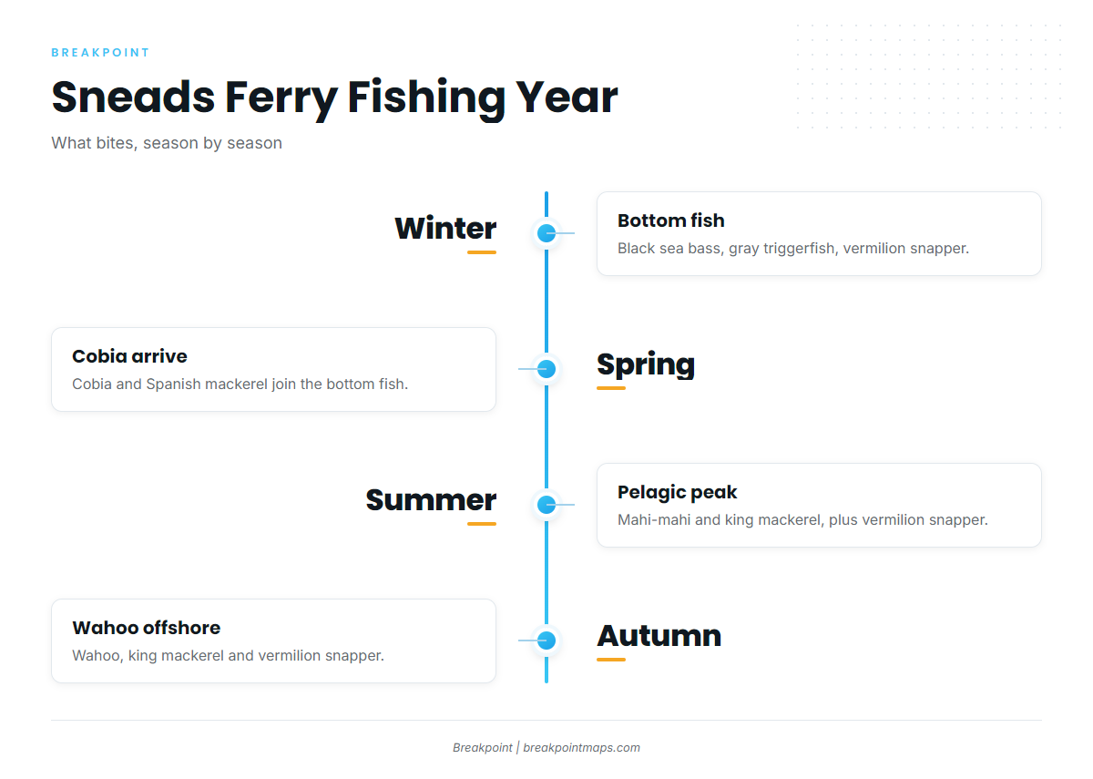 Winter (Sneads Ferry)