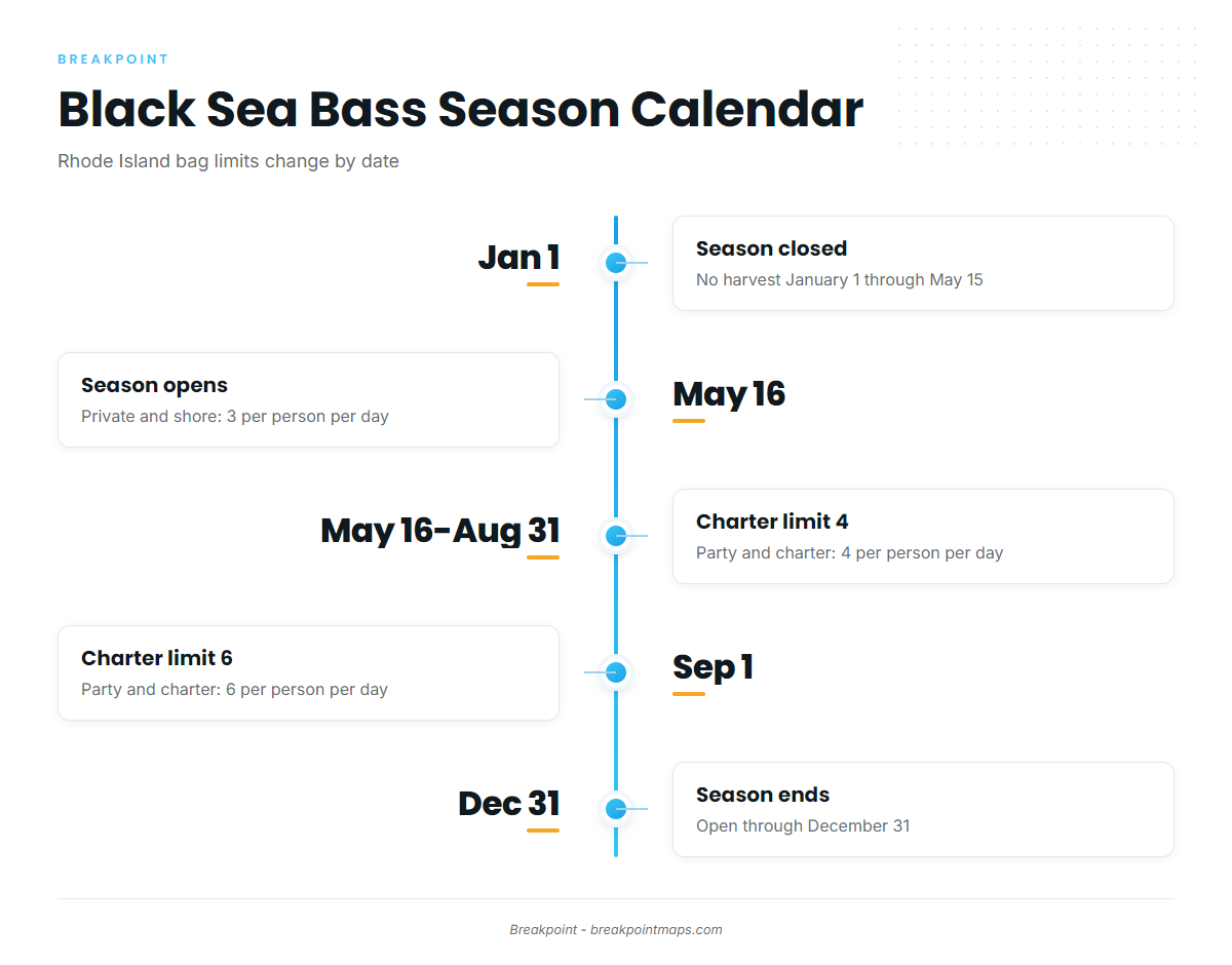 Black sea bass (Rhode Island Fishing Regulations)