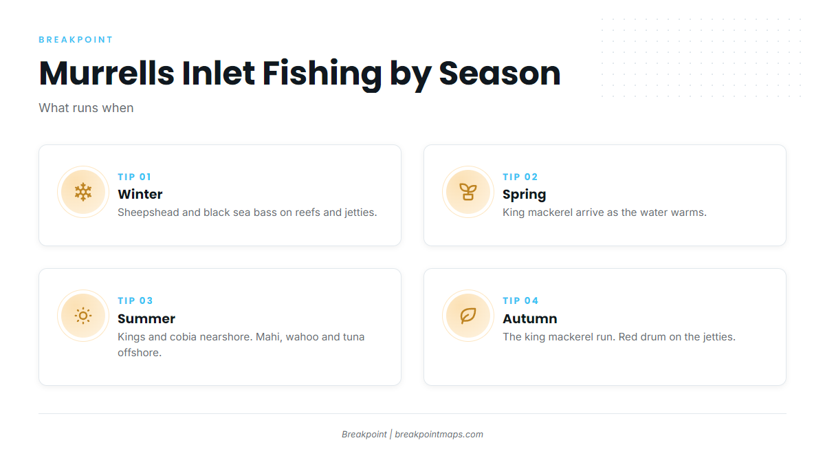 Fishing conditions (Murrells Inlet)