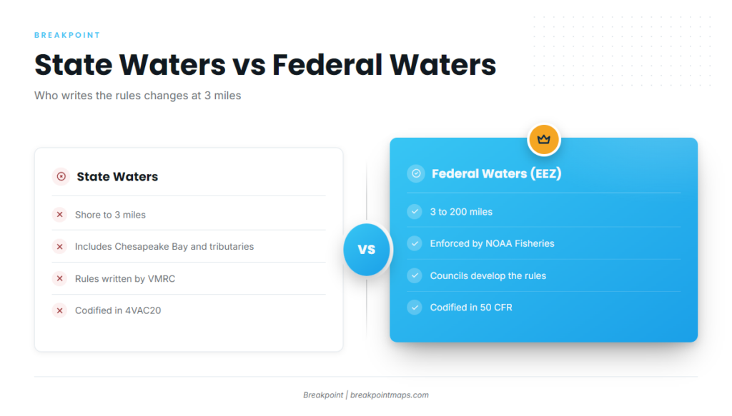 Virginia Fishing Regulations: State and Federal Waters