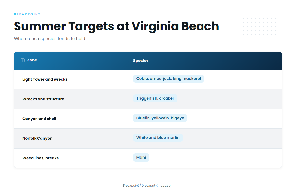 Summer (Virginia Beach)