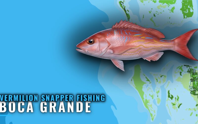 Vermilion Snapper Fishing Out of Boca Grande: 8 Reefs